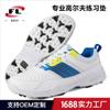 Novos sapatos de treino de golfe indoor direto da fábrica sapatos de golfe para exterior estilo unissex