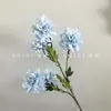 Flores Artificiales Nuevas con 5 Cabezas, Peonías Chanel para Arreglos de Boda, Decoración de Sala de Estar en Casa, Comercio Exterior Transfronterizo al por Mayor
