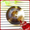 Suministro de fábrica botón de resina tridimensional de alta calidad color caqui de cuatro ojales para abrigo gabardina suéter 18 mm - 30 mm
