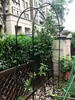 Soporte de Hierro Forjado Antióxido con Arco para Flores, Enrejado para Uvas, Climatide, Rosa, Estructura Arqueada para Trepar, Soporte Arqueado para Trepar Rosas en Exteriores