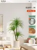 Plantas Verdes Artificiais de Alta Qualidade para Decoração de Sala de Estar, Planta Realista Falsa de Figueira-da-Índia Preta para Decoração de Sala de Transmissão ao Vivo