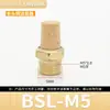 Válvula Solenoide Neumática Torre de Aceleración de Cobre Silenciador Bsl-01 Pulgada 2/3/4 Pulgada Besl Conector Silenciador Silencioso