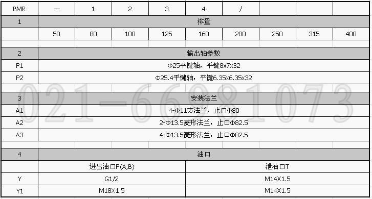 BMR-160液压马达选型说明.