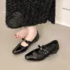 Con versátil falda de lazo retro francesa de otoño, zapatos Mary Jane de tacón grueso con corte medio-bajo, zapatos de vestir para mujer 2026