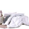Colcha de Primavera e Outono Colcha universal para as Quatro Estações Colcha de Verão Colcha fresca de Verão Colcha de Ar Condicionado Núcleo de Colcha Colcha de Inverno Colchão Cama e Café da Manhã Hotel