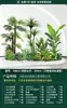 Set de Paisajismo Simulado para Exhibidores de Ventanas Interiores, Decoración de Escaleras, Paisaje de Plantas Verdes Simuladas, Arreglo de Jardín, Adornos de Decoración de Plantas en Maceta