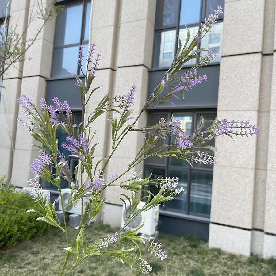 5叉心运薰衣草-紫色 4.5元.JPG