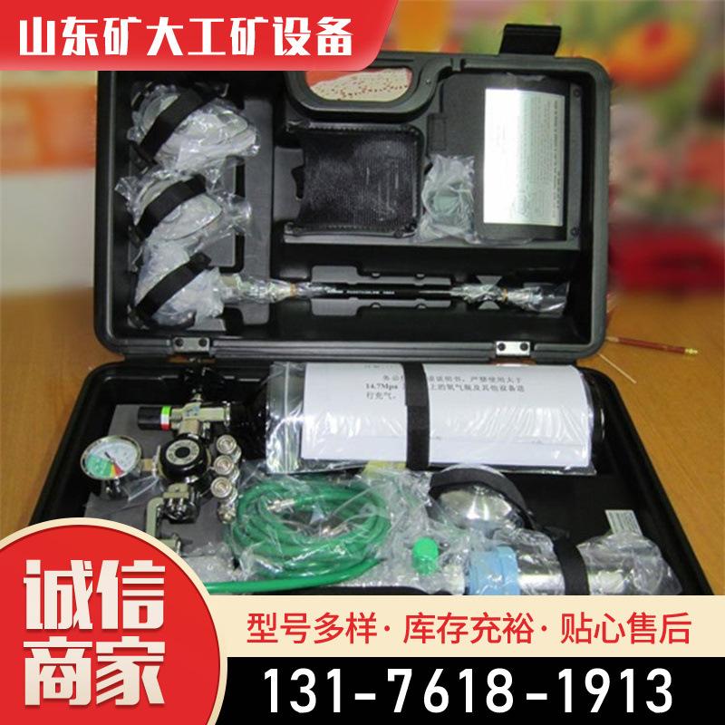 P-6便携式氧气自动复苏机