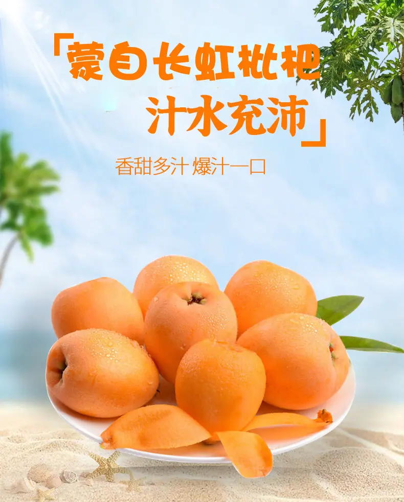 云南蒙自枇杷详情图