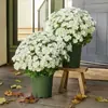 Flores Artificiales de Manzanilla y Margarita Transfronterizas para Decoración de Interiores del Hogar y Escenas de Boda