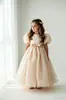 Venta al por mayor de vestidos formales para niños para exportación y ventas transfronterizas: Vestidos de princesa de cuello redondo y manga abullonada para niñas pequeñas, adecuados para fiestas, cumpleaños y actuaciones.