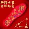 Almohadillas para Pies para la Buena Suerte en el Año del Caballo, Año Zodiacal Rojo, Nuevo Diseño de Moneda de Cobre, Almohadillas para Pies Auspiciosas Bordadas a Punto de Cruz para Hombres y Mujeres