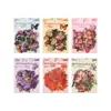 Fornecimento Exclusivo Transfronteiriço de Novos Produtos: Adesivos Criativos de Colagem de Flores Silvestres da Primavera, Materiais Naturais para Journaling, Adesivos Base para Venda por Atacado
