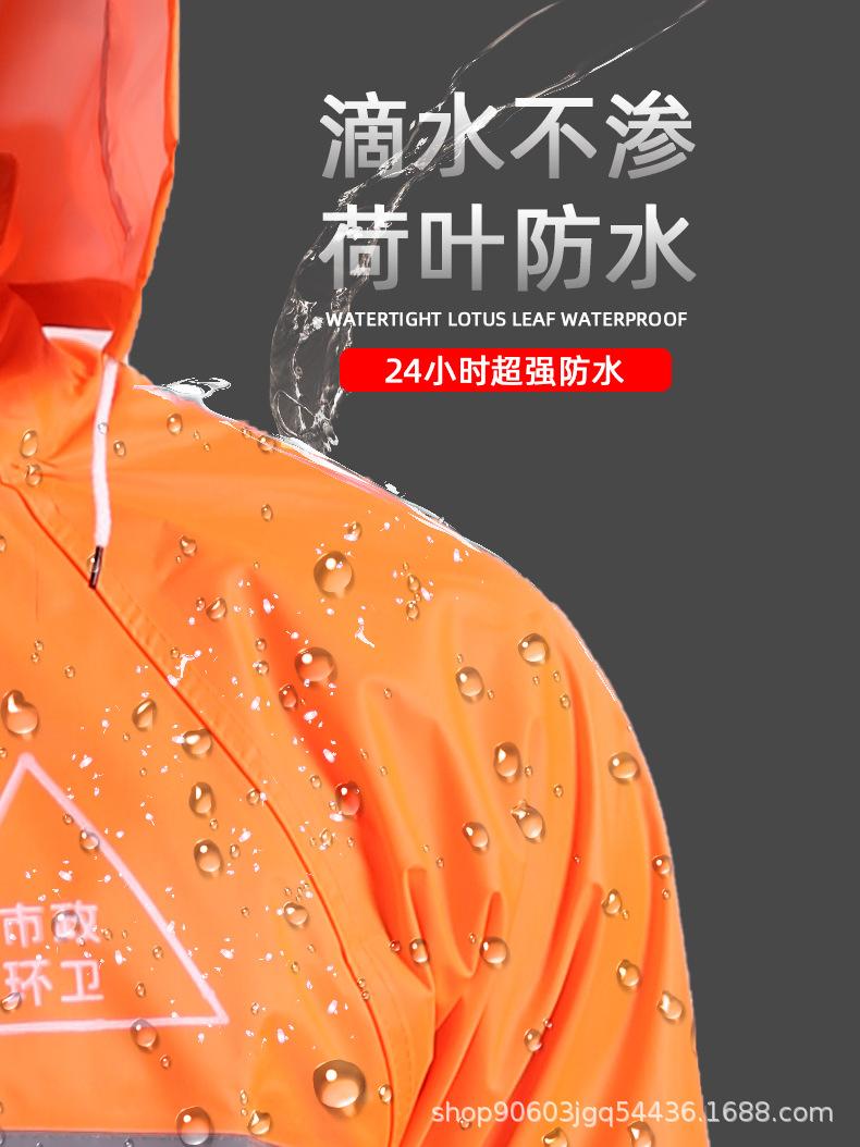 xiang4.jpg