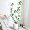 Planta Grande de Madera Pata de Pato en Maceta para Interior para Purificación del Aire, Adecuada para Dormitorio y Sala de Estar, Perenne Todo el Año, Planta Verde de Moda