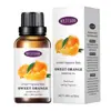 Óleo essencial de aromaterapia solúvel em água transfronteiriço 30ml umidificador interno fragrância sem álcool sem fogo suplemento de aromaterapia vegetal