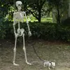 Figura de esqueleto de Halloween 15cm esqueleto pequeño 40cm esqueleto 6090165cm esqueleto de articulación ajustable