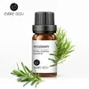 Evoke Occu Aceite Esencial de Rosa Aromaterapia para Coche Aceite Esencial Transfronterizo Planta Aceite Esencial Único Aceite de Masaje Al por Mayor en Stock