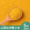 Grão de Cereal Comestível de Painço Amarelo Qinzhou Shanxi Painço Glutinoso Mingau de Painço Amarelo Pequeno Grão Novo a Granel 2,5kg
