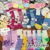 Colección de calcetines de caja sorpresa Sanrio: Artículos de uso diario llenos de encanto femenino y lindos diseños de caricaturas, esenciales para un look tierno