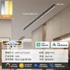 Luminária de Teto Longa Minimalista de Sobrepor para Sala de Estar, Corredor Criativo, Corredor, Varanda Ensolarada e Varanda - Modelo Novo 2026