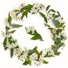 Narcisos pequeños con ramas venta directa de fábrica flores secas al por mayor especímenes de plantas en relieve flores reales hojas paquete de material floral