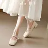 Zapatos Mary Jane suaves y elegantes de cuero suave para mujer, nuevo estilo otoño 2026, punta cuadrada, tacón grueso francés, estilo de hada, adecuados para combinar con faldas