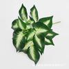 Suministro Directo de Fábrica de 7 Plantas Verdes Simuladas de PVC, Estrellas de Rábano Verde, Hojas Falsas, Regalos, Decoración de Habitación de Boda, Adornos Decorativos