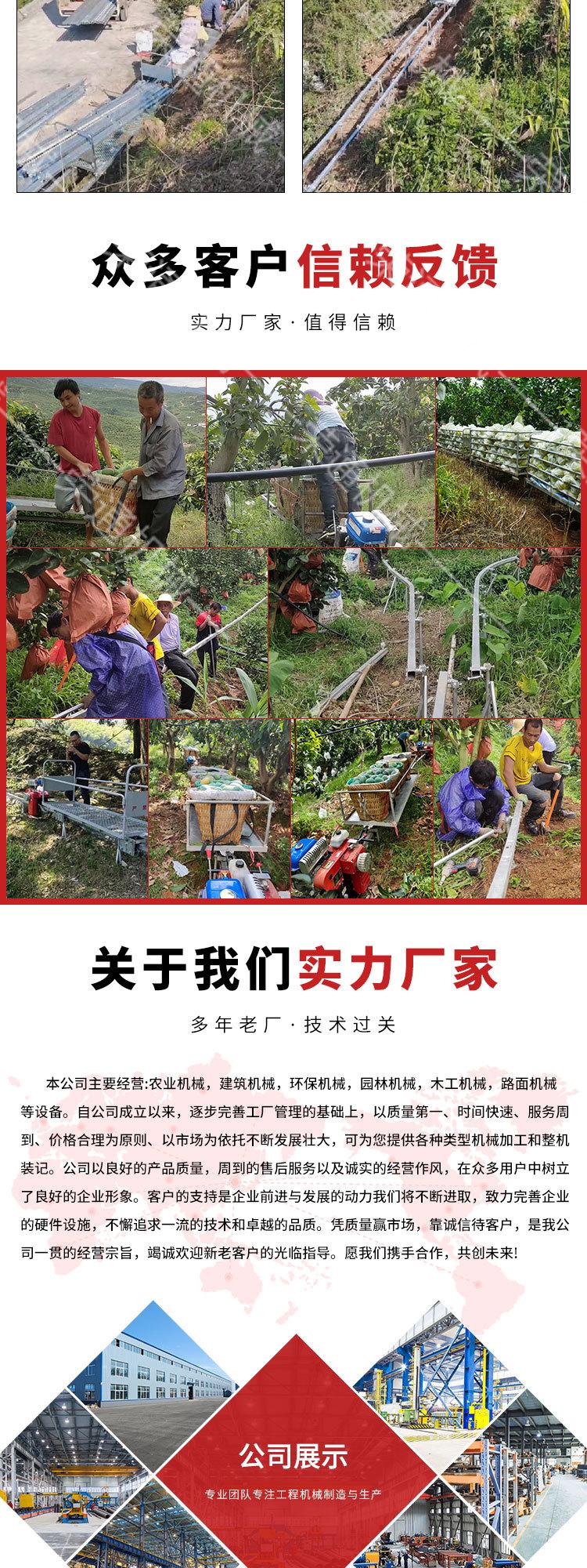 0407双链轨运输车8