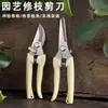 Tijeras de jardinería de acero inoxidable, tijeras de jardín, tijeras para podar ramas, herramientas de jardín para exteriores, tijeras para recolectar fruta de huerto al por mayor