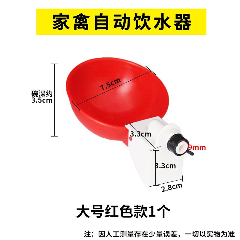 大号红色1个