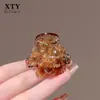 Pinza de Garra de Cristal Versátil de Alta Gama, Moderna y Elegante 2025 para Mujer, Nuevo Pasador de Moda de Celebridad de Internet para la Parte Posterior de la Cabeza