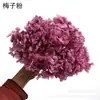 Flores de Hortensia Secas con Degradado Grande Hortensias Conservadas Cabezas de Flores Grandes Color Mixto Multicolor Hortensias Secas Decoración del Hogar Materiales Florales