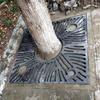 Rejilla para piscina de árbol de hierro fundido nodular, protector de árbol de hierro fundido, rejilla para árbol de paisaje creativo, protector de árbol, producción de dibujo