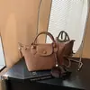 Bolsa de Ombro Transversal Versátil Tendência Moda Outono 2026 Bolsa Exclusiva de Bolinho