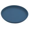 Plato para huesos plato para huesos plástico plato para bocadillos plato para pastel para el hogar plato pequeño para bocadillos plato para pepinillos plato para basura de mesa