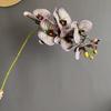 Algodón de Silicona 7 Orquídeas Grandes Phalaenopsis Origen Extranjero Color Morandi Modelo para el Hogar Fotografía de Bodas Camino