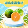 Tangerinas Mel de Hubei Yichang, dropshipping disponível, 3/9 libras, 60-65mm, caixa inteira, produto agrícola comestível, fruta fresca