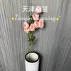 7 Exquisitas Flores Artificiales de Peonía, Adornos de Flores Artificiales, Decoraciones de Mesa para Sala de Estar, Flores Decorativas, Flores Artificiales para Bodas
