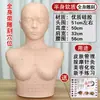 Cabeça de Prática de Beleza Molde Manequim Feminino Comercial Modelo de Cabeça Massagem na Cabeça Salão de Beleza Gerenciamento de Pontos de Acupuntura Mão de Prática de Aprendizagem