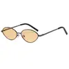 Nuevas Gafas de Sol Ovaladas Retro Europeas y Americanas Tendencia Unisex Gafas de Influencer para Mujer de Gama Alta Tendencia Estilo Callejero para Hombre Venta al por Mayor