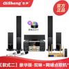 Qisheng 5.1 Audio para Teatro en Casa Cantante KTV Karaoke Set Sala de Estar Bluetooth Inalámbrico Surround