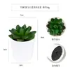 Más de 100 Tipos de Combinaciones de Plantas Suculentas Mini de Plástico Simuladas en Maceta, Mini Bonsáis Suculentos Más Vendidos Transfronterizos, Decoración para el Hogar, Adornos Creativos
