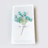 Cartão de Cumprimentos com Flores Secas Fresco e Criativo Cartão de Aniversário Cartão de Dia das Mães Cartão de Dia da Mulher Cartão de Cumprimentos Geral Cartão de Bênçãos