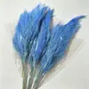 Venta al por mayor de Hierba Eterna del Fabricante para Bodas y Decoración del Hogar, Materiales Florales DIY, Hierba de Pelo Largo para Flores de Arte Colgantes