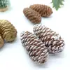 Kit de Materiales Hecho a Mano para Manualidades con Materiales Florales Mixtos, Piñas Naturales, Decoración de Jardín de Infancia con Temática del Bosque, Piñas de Navidad, Flores Secas