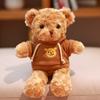 Suéter de muñeco de oso oso de peluche oso de peluche para vestir oso de peluche Muñeca de trapo oso para abrazar regalo de cumpleaños para niña
