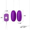 Enchufe USB Huevo Vibrador Doble Sexy Frecuencia Única Huevo Vibrador Impermeable Suministros Sexuales Femeninos Juguetes para Coqueteo de Esposos