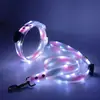Collar LED Iluminado Mejorado con Siete Modos de Luz de Colores, Recargable, Iluminado por la Noche, Collar para Perro