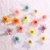Flores Artificiales, Accesorios para Fotografía de Bodas, Accesorios para el Cabello Hechos a Mano para DIY, Materiales Decorativos para Caja de Flores de Amazon